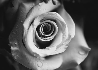 portfolio_10