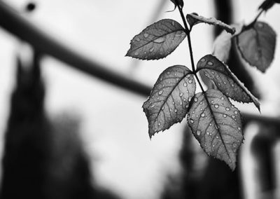 portfolio_7